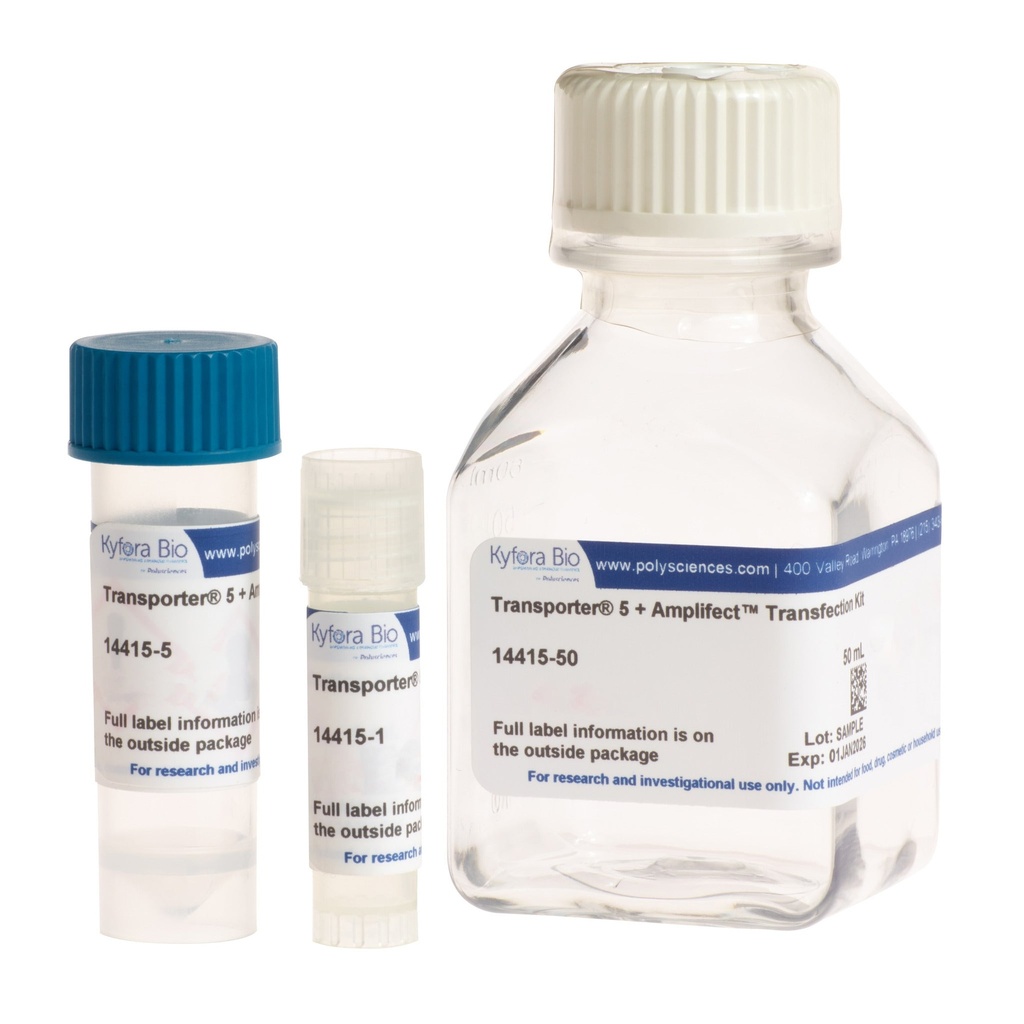 Transporter 5 + AmpliFect Transfection Kit - 